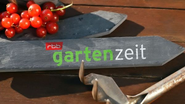 rbb Gartenzeit