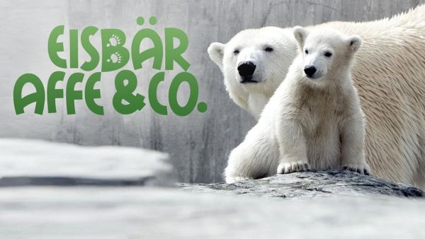 Eisbär, Affe & Co.