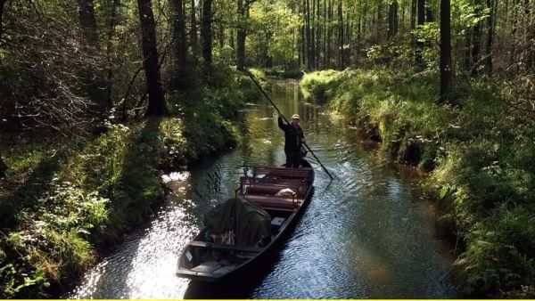 Der Spreewald von oben