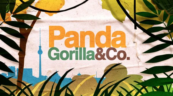 Panda, Gorilla & Co.