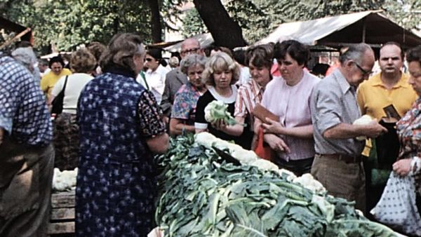 Prenzlauer Berg und Pankow in drei Jahrzehnten