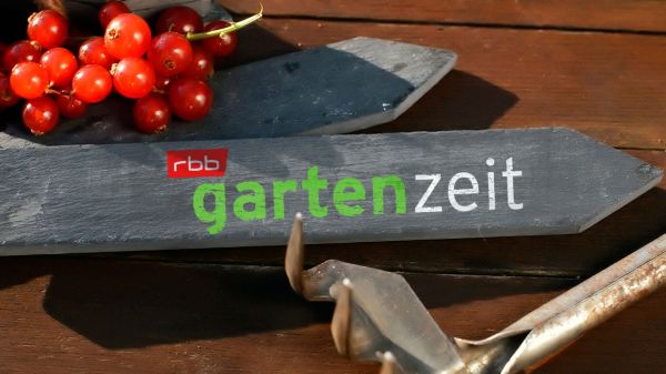 rbb Gartenzeit