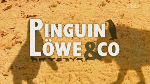 Pinguin, Löwe & Co.