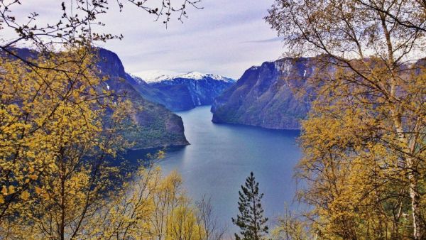 Erlebnis Erde: Magie der Fjorde