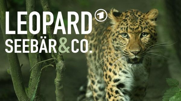 Leopard, Seebär & Co.