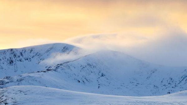 Erlebnis Erde: Schottlands neue Wildnis - Das Comeback der Highlands