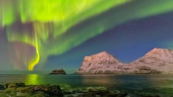 Erlebnis Erde: Polarnacht - Skandinaviens Wildnis im Winter