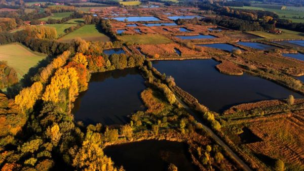 Erlebnis Erde: Wasserwildnis in Westfalen - Münsters Rieselfelder