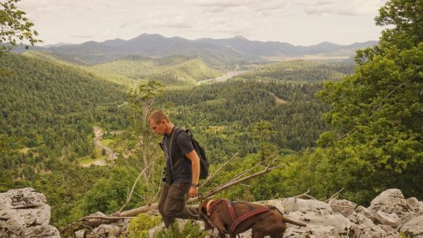 Wildnis Europa: Der Luchs