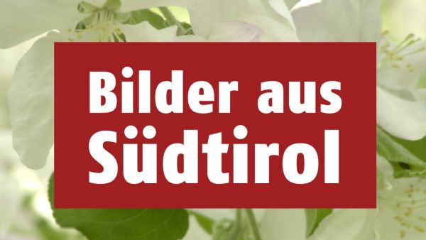 Bilder aus Südtirol