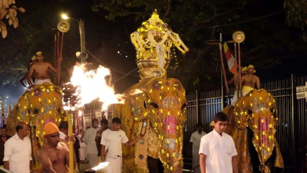 Sri Lankas Peraheras - Sakrale Elefantenprozessionen