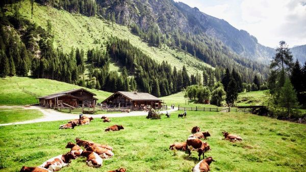 Bauernherbst im Salzburger Land