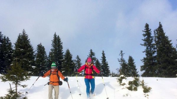 Winterfreuden - Winter auf dem Land