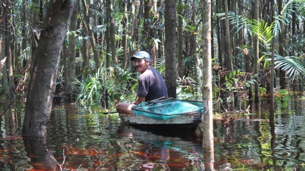 Wilde Inseln: Amazonas