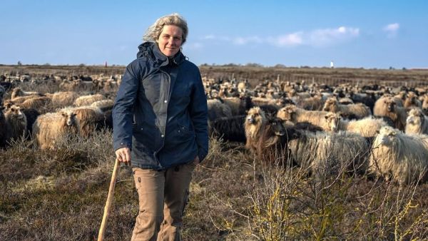 Sylt - Wellen, Wind und Watt