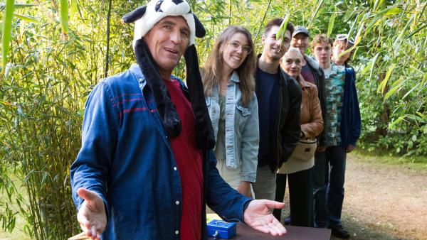 Löwenzahn Löwenzahn