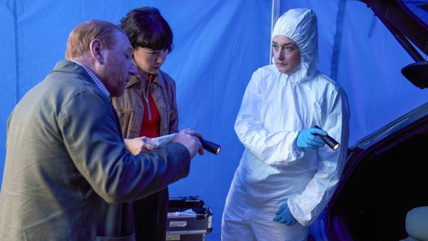 The Chelsea Detective