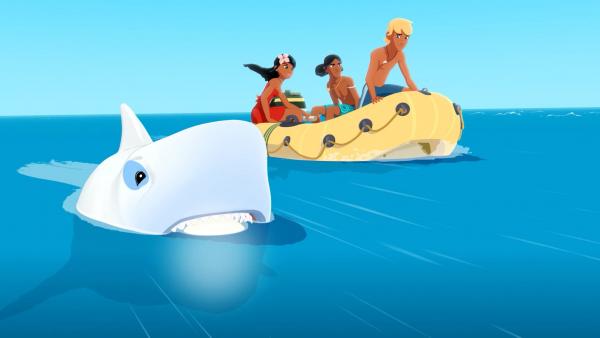 Zoom - Der weiße Delfin