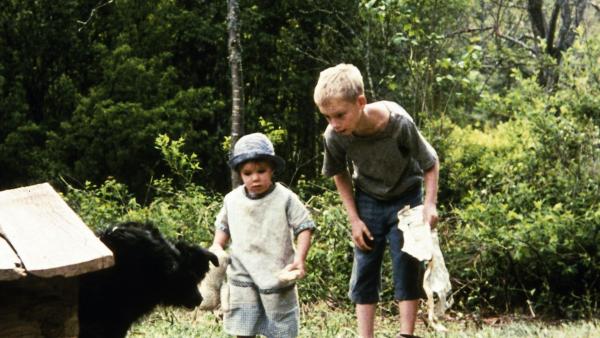 Die Kinder von Bullerbü