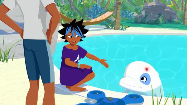 Zoom - Der weiße Delfin Zoom - Der weiße Delfin