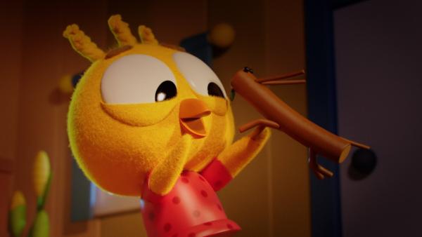 Team Nuggets Team Nuggets