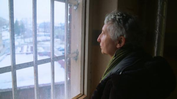 Terra X History Terra X History