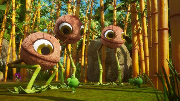 Vegesaurier Vegesaurier