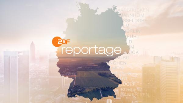 ZDF.reportage