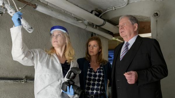 Der Staatsanwalt Der Staatsanwalt