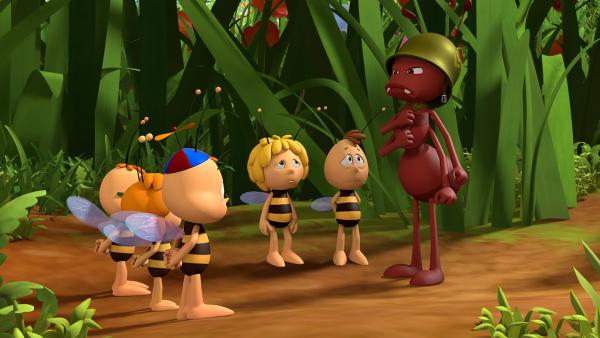 Die Biene Maja Die Biene Maja