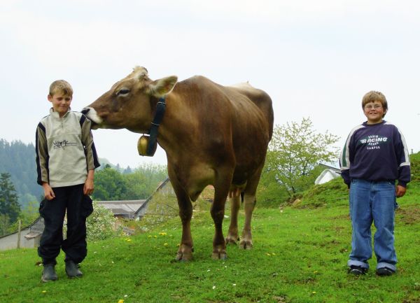 Die Kinder vom Napf