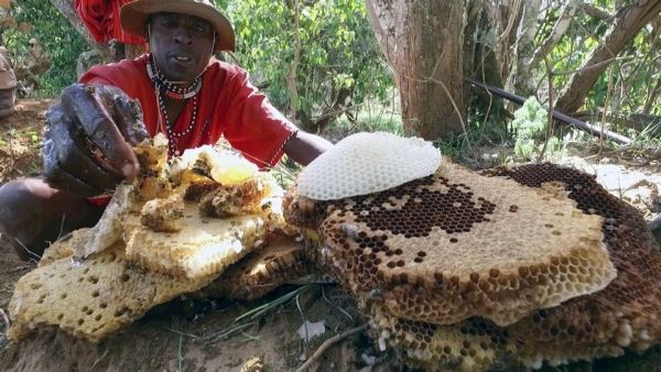 Die Bienenflüsterer