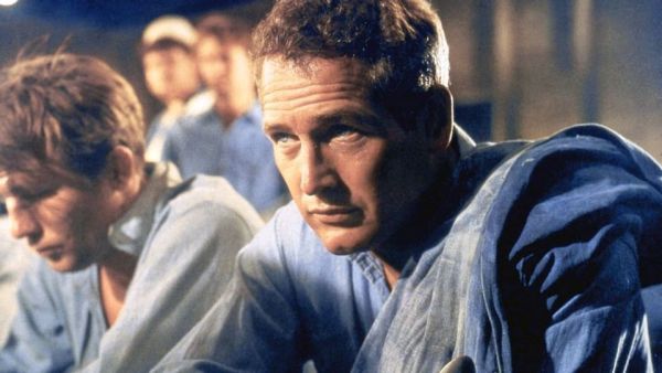 Paul Newman - Der unwiderstehliche Typ