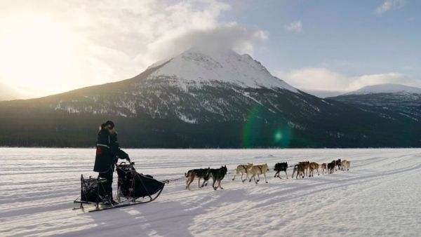 Mit meinen Schlittenhunden durch Alaska