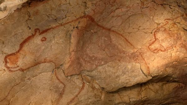 Auf den Spuren prähistorischer Künstler - Die Chauvet-Höhle