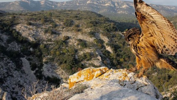 Frankreich - Wild und schön