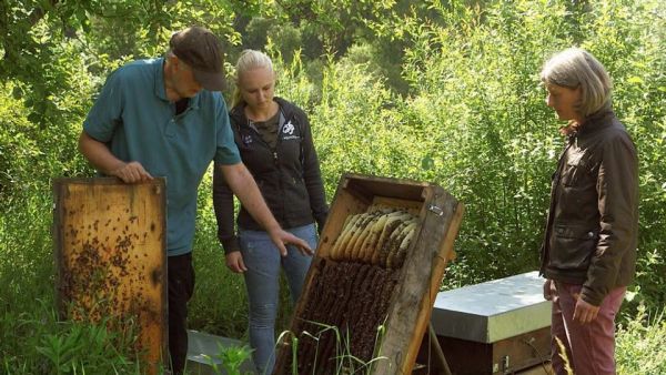 Die Bienenflüsterer