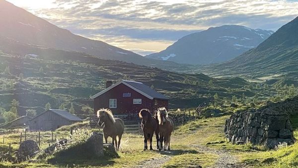 Mittsommer in Norwegen