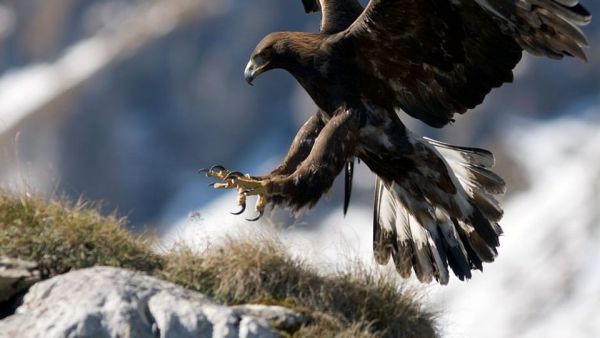 Frankreich - Wild und schön