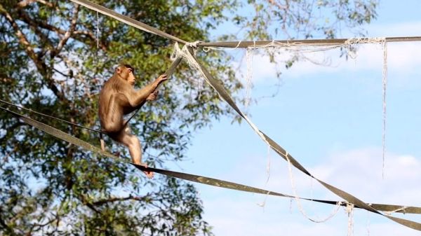 Borneo - Paradies auf Abruf