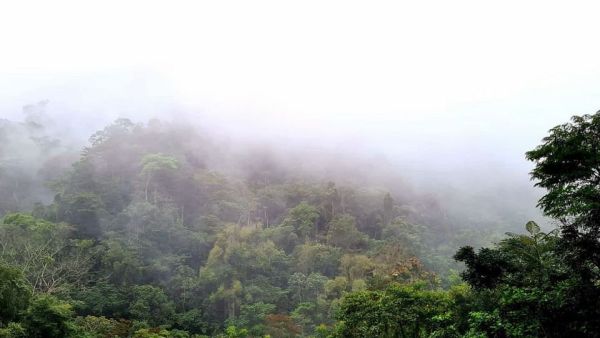 Honduras