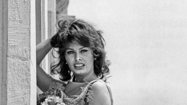 Sophia Loren - Porträt einer Diva