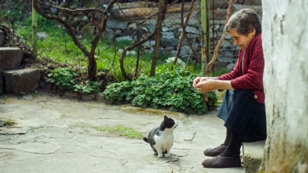 Bulgarien - Das Dorf der magischen Tiere