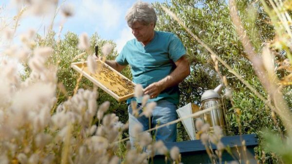 Die Bienenflüsterer