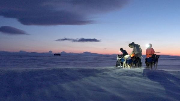 Mit meinen Schlittenhunden durch Alaska