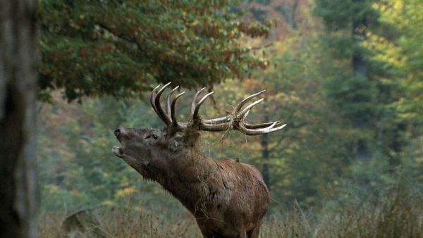 Frankreich - Wild und schön