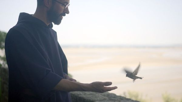 Beachtliche Bauten und ihre wilden Nachbarn