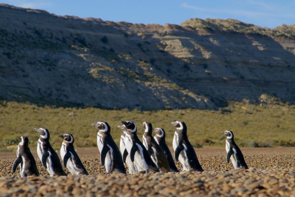 Patagonien – Wunderwelt der Extreme