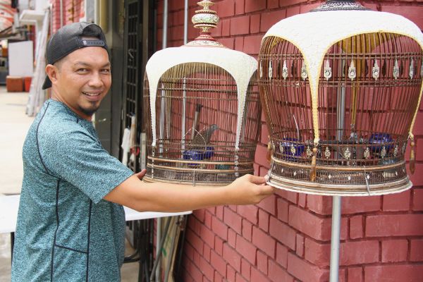 Singvögel – die goldenen Stimmen von Singapur