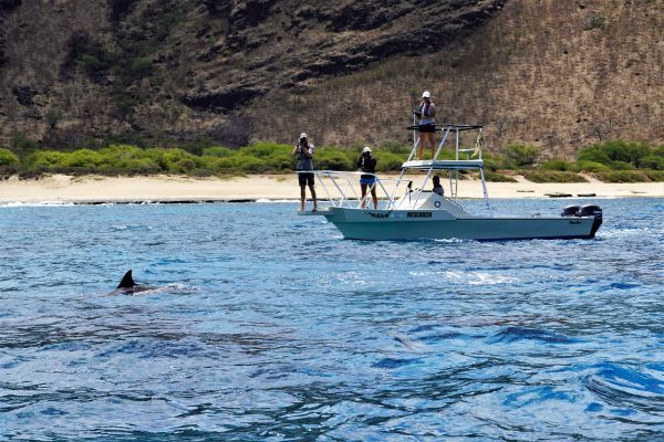 Hawaiis versteckte Paradiese